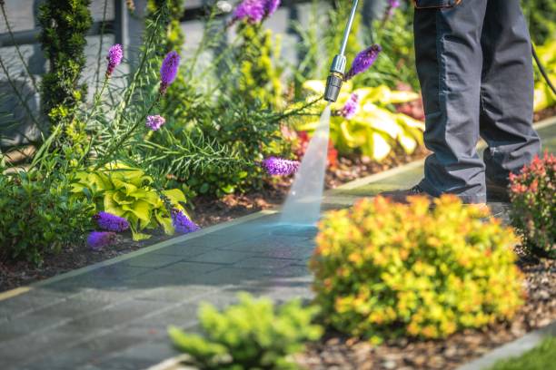 Best Parking Lot and Garage Cleaning  in Medford, WI