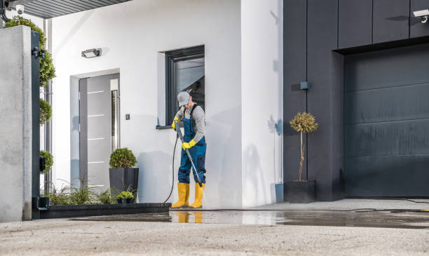 Best Fence Cleaning  in Medford, WI